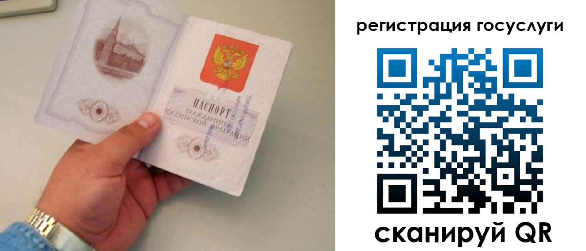 прописка регистрация в Алексеевке